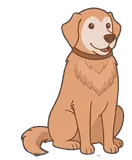 Hazel, the clinic guide