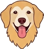 Hazel