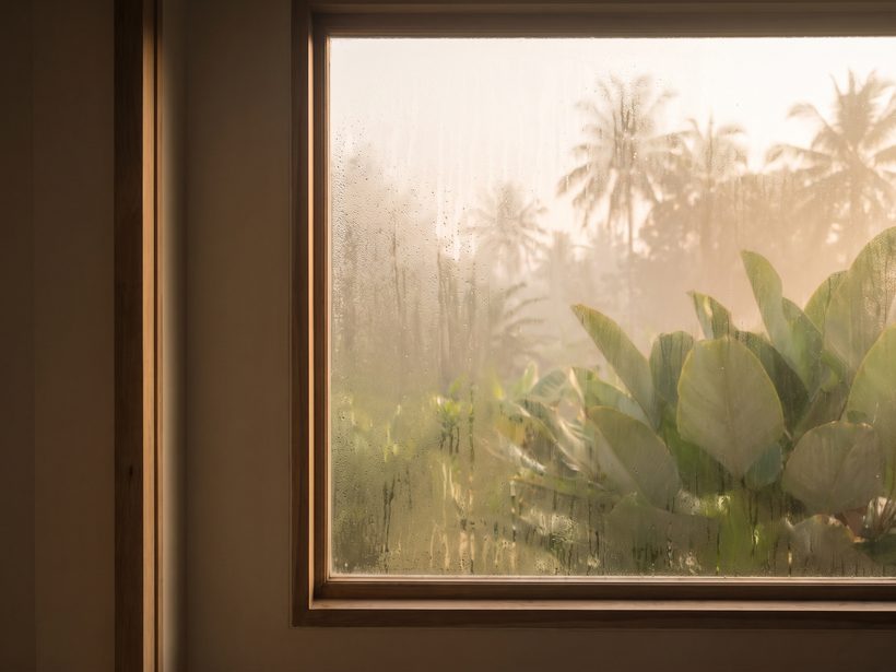 A sunlit window with soft morning condensation, tropical foliage blurred beyond the glass, no person and no product in frame