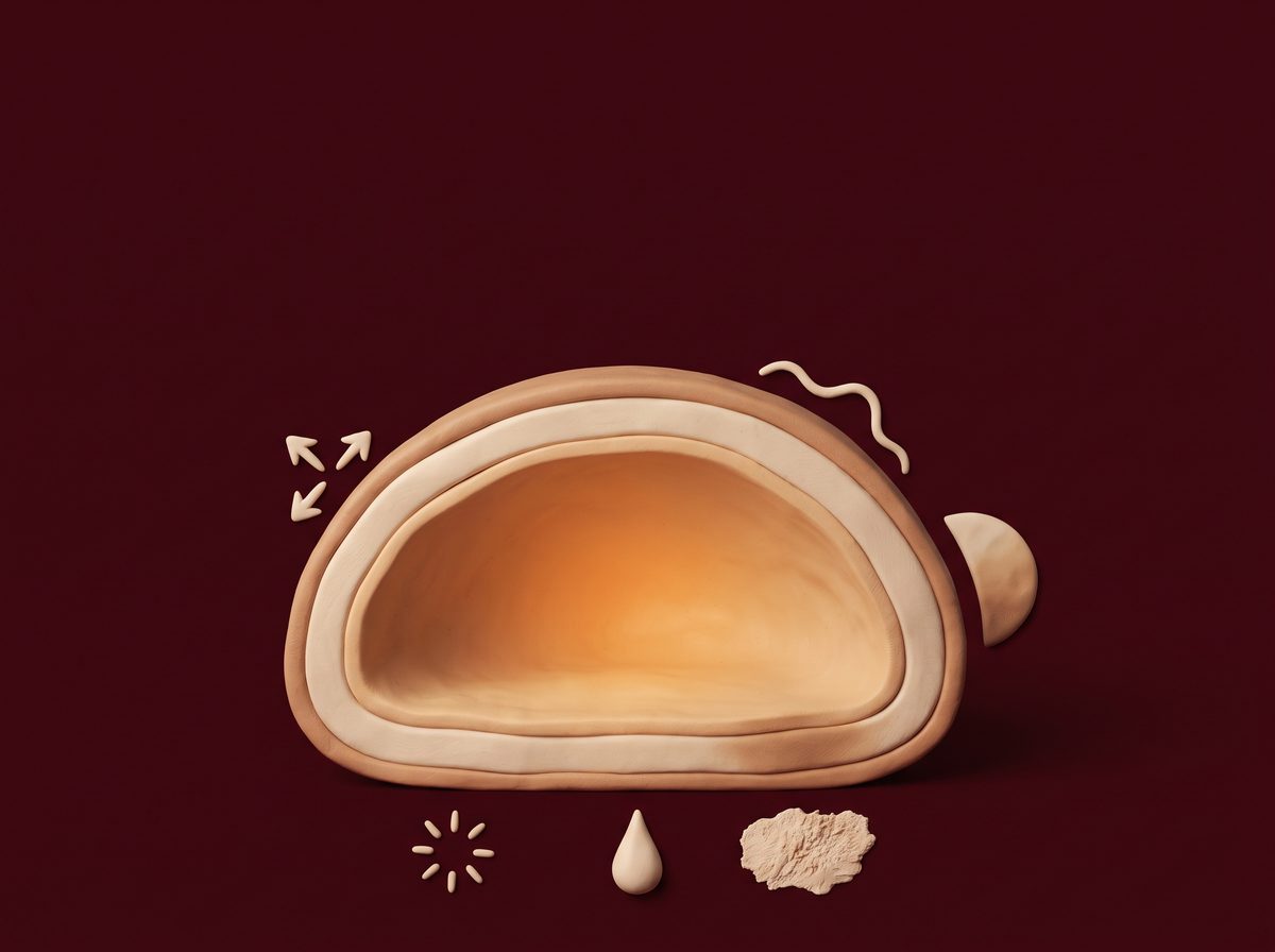 A sculpted cutaway of a single mole disc showing layers of depth, set on a deep maroon background with small symbols around it